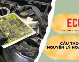 Tại sao hộp ECU ô tô hay bị lỗi ? Nguyên nhân và cách xử lý